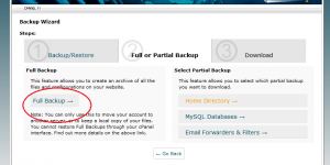Cpanel Backup wizard 2