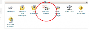 Cpanel Files -> Backup wizard