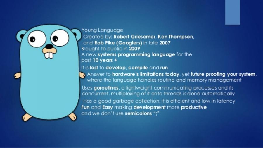 Golang value. Go язык программирования. Язык golang. Golang на рабочий стол. Кен Томпсон язык программирования go.